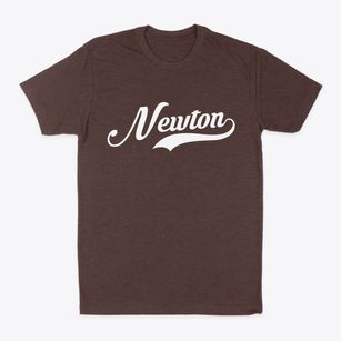 Newton Massachusetts Vintage Team Classic Dad T-Shirt