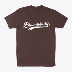 Bloomsburg Pennsylvania Vintage Team Classic Dad T-Shirt