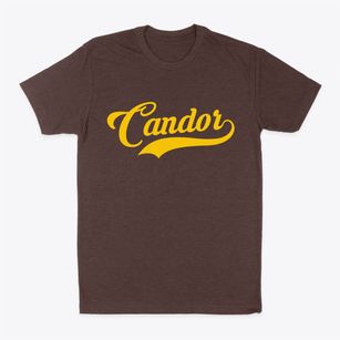 Candor New York Vintage Team Classic Dad T-Shirt