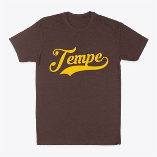Tempe Arizona Vintage Team Classic Dad T-Shirt