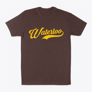 Waterloo Wisconsin Vintage Team Classic Dad T-Shirt