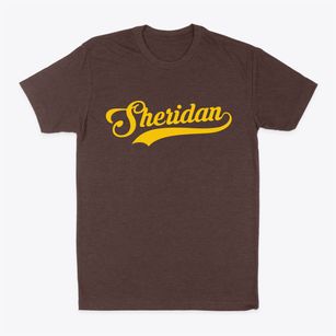 Sheridan Illinois Vintage Team Classic Dad T-Shirt