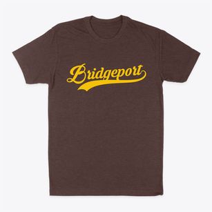Bridgeport Connecticut Vintage Team Classic Dad T-Shirt
