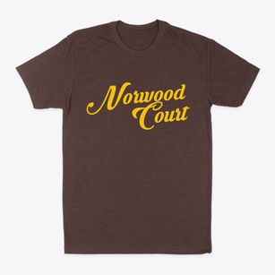 Norwood Court Missouri Vintage Team Classic Dad T-Shirt