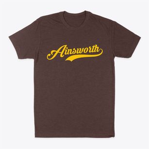 Ainsworth Iowa Vintage Team Classic Dad T-Shirt