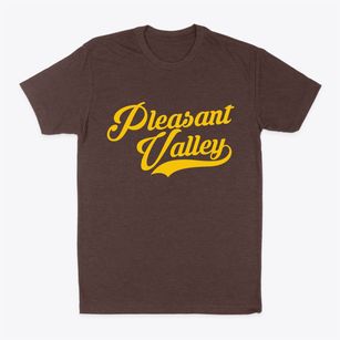 Pleasant Valley New York Vintage Team Classic Dad T-Shirt