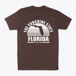  Florida Sunset Classic Dad T-Shirt
