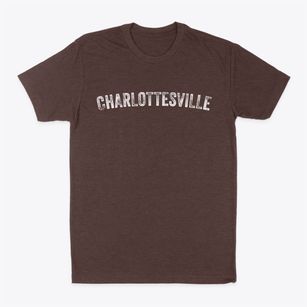 Charlottesville Virginia Timeless Retro Classic Dad T-Shirt