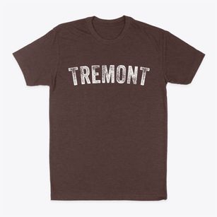 Tremont Illinois Timeless Retro Classic Dad T-Shirt