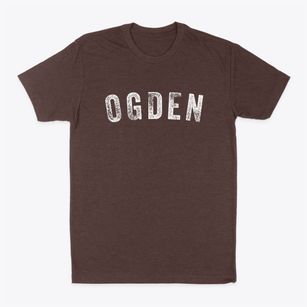Ogden Iowa Timeless Retro Classic Dad T-Shirt