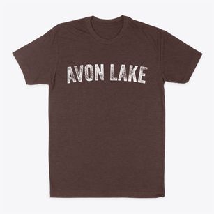 Avon Lake Ohio Timeless Retro Classic Dad T-Shirt