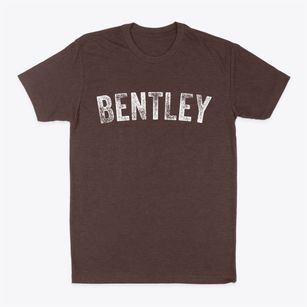 Bentley Iowa Timeless Retro Classic Dad T-Shirt