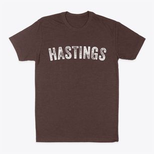 Hastings Michigan Timeless Retro Classic Dad T-Shirt