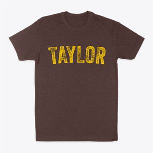 Taylor Michigan Timeless Retro Classic Dad T-Shirt