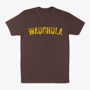 Wauchula Florida Timeless Retro Classic Dad T-Shirt
