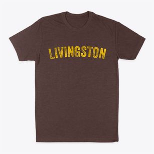 Livingston New York Timeless Retro Classic Dad T-Shirt