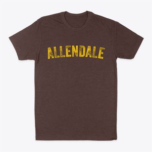Allendale Illinois Timeless Retro Classic Dad T-Shirt