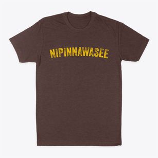 Nipinnawasee California Timeless Retro Classic Dad T-Shirt
