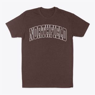 Northfield Illinois Trendy Block Classic Dad T-Shirt