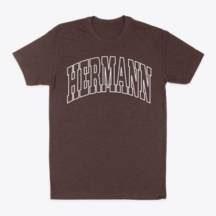 Hermann Missouri Trendy Block Classic Dad T-Shirt