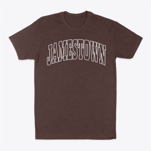 Jamestown New York Trendy Block Classic Dad T-Shirt