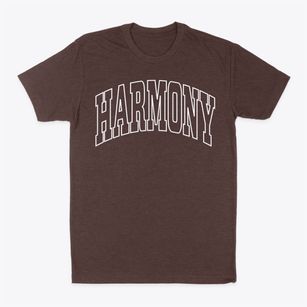 Harmony Minnesota Trendy Block Classic Dad T-Shirt