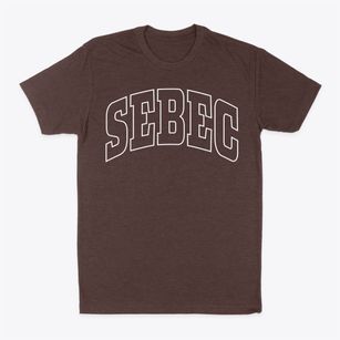 Sebec Maine Trendy Block Classic Dad T-Shirt