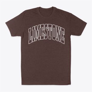 Limestone New York Trendy Block Classic Dad T-Shirt