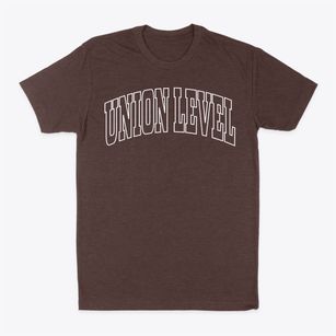 Union Level Virginia Trendy Block Classic Dad T-Shirt