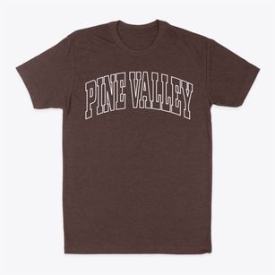Pine Valley Utah Trendy Block Classic Dad T-Shirt