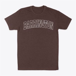 Barrington New Hampshire Trendy Block Classic Dad T-Shirt