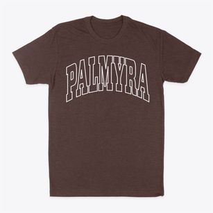 Palmyra New York Trendy Block Classic Dad T-Shirt