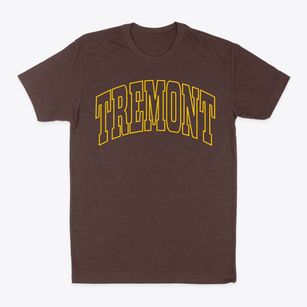 Tremont Illinois Trendy Block Classic Dad T-Shirt