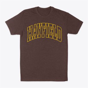 Hayfield Minnesota Trendy Block Classic Dad T-Shirt