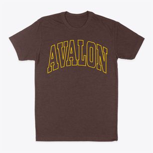 Avalon New Jersey Trendy Block Classic Dad T-Shirt