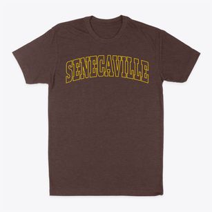 Senecaville Ohio Trendy Block Classic Dad T-Shirt