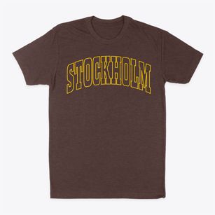 Stockholm Wisconsin Trendy Block Classic Dad T-Shirt