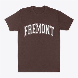 Fremont Michigan Varsity Classic Dad T-Shirt