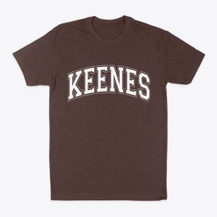 Keenes Illinois Varsity Classic Dad T-Shirt