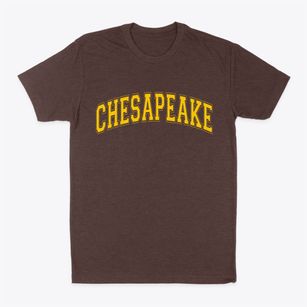 Chesapeake Virginia Varsity Classic Dad T-Shirt