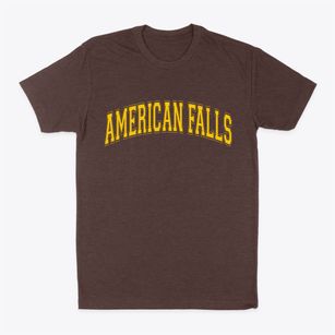 American Falls Idaho Varsity Classic Dad T-Shirt