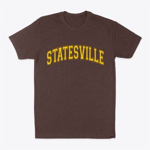Statesville North Carolina Varsity Classic Dad T-Shirt