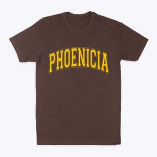 Phoenicia New York Varsity Classic Dad T-Shirt
