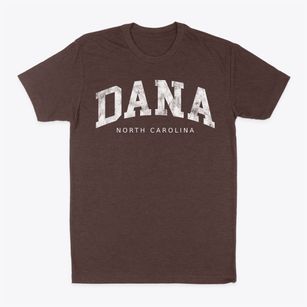 Dana North Carolina Urban Vibe Classic Dad T-Shirt