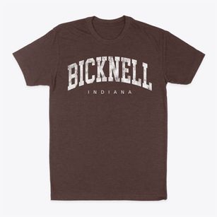 Bicknell Indiana Urban Vibe Classic Dad T-Shirt