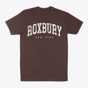 Roxbury New York Urban Vibe Classic Dad T-Shirt