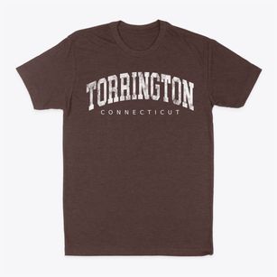 Torrington Connecticut Urban Vibe Classic Dad T-Shirt