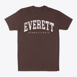 Everett Pennsylvania Urban Vibe Classic Dad T-Shirt