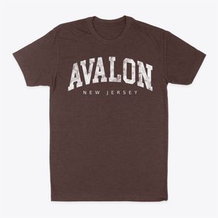 Avalon New Jersey Urban Vibe Classic Dad T-Shirt