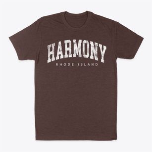 Harmony Rhode Island Urban Vibe Classic Dad T-Shirt